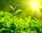 Green chai has amazing skincare benefits