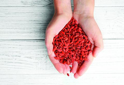 Goji Berries: The Ayurvedic Ingredient that Can Boost Your Skincare Routine