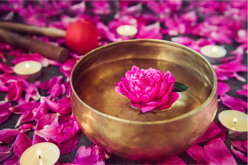 Benefits of Peonies in Skincare AVYA Skincare