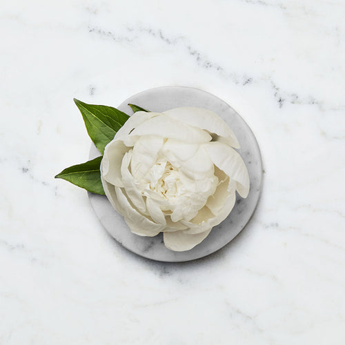 files/avya-ingredient-peony.jpg